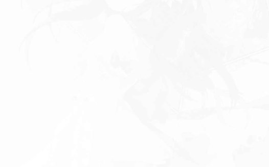 专业解决TG电报纸飞机登不上的问题